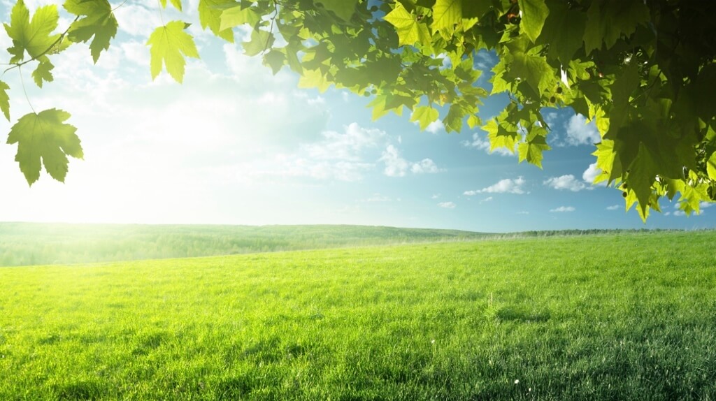 Four Ways To Shrink Your Business' Carbon Footprint